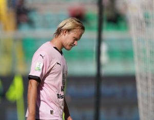 aop_pohjanpalojoel25i