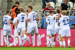 aop_pikkuhuuhkajat25