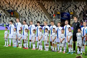 aop_pikkuhuuhkajat25a