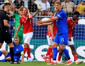 aop_pikkuhuuhkajattanska25